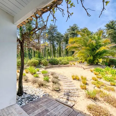 Maison Au Calme En Lisiere De Foret Avec Piscine Chauffee Vila